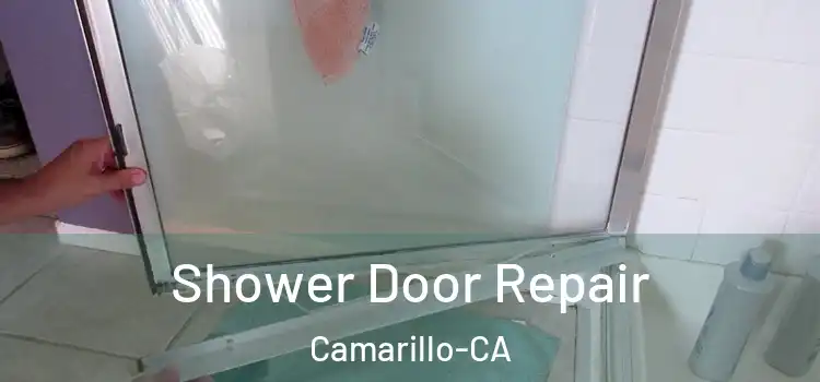 Shower Door Repair Camarillo-CA